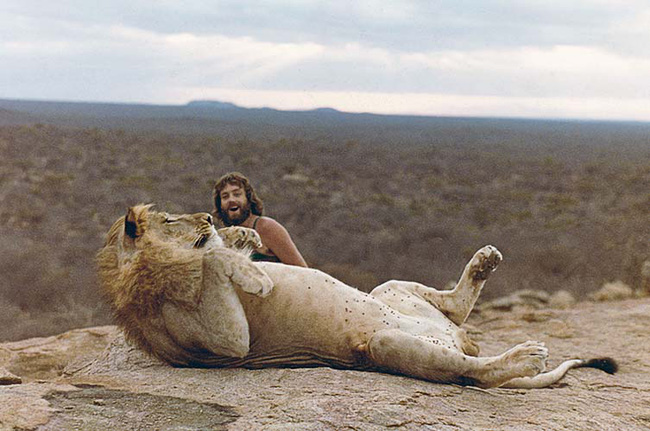 Những bức ảnh khó tin và câu chuyện về chú sư tử được nuôi như thú cưng trước khi trả về tự nhiên và để lại nhiều di sản - Ảnh 9.