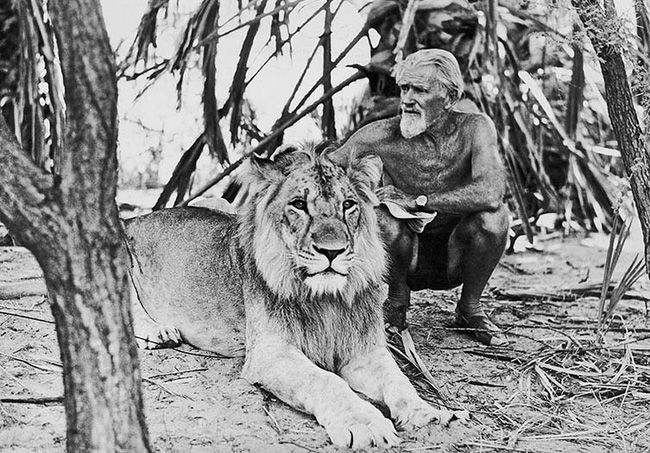 Những bức ảnh khó tin và câu chuyện về chú sư tử được nuôi như thú cưng trước khi trả về tự nhiên và để lại nhiều di sản - Ảnh 5.