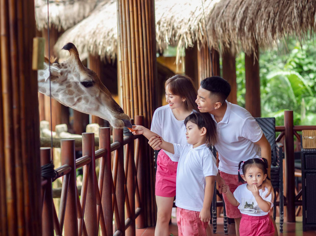 Gia đình Khánh Thi cho hươu cao cổ ăn trong chuyến du lịch Phú Quốc.