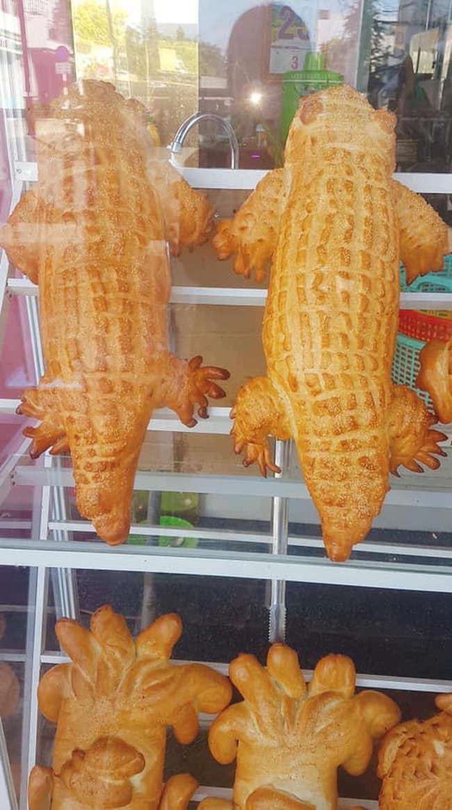 Xuất hiện lò sản xuất bánh mì cá sấu &quot;Lacoste&quot; siêu cute, dân mạng lại tranh cãi om tỏi đó chỉ là con thạch sùng đại bự - Ảnh 4.